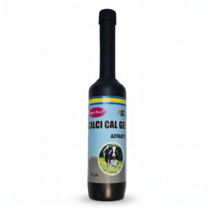 CALCI Cal Gel Advance 300g | Advanced Calcium Gel for Cows, Buffaloes, Goats & Sheep | Bone Strength & Milk Production Support