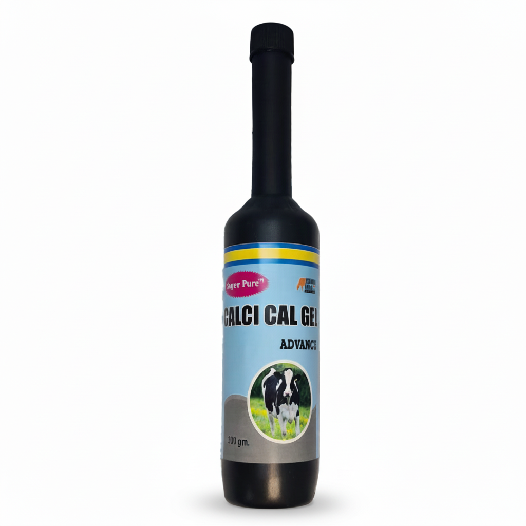 CALCI Cal Gel Advance 300g | Advanced Calcium Gel for Cows, Buffaloes, Goats & Sheep | Bone Strength & Milk Production Support