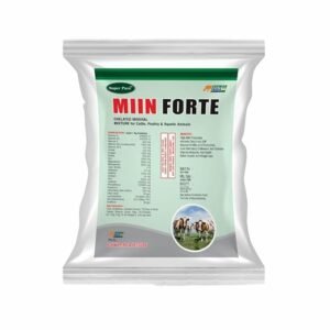 MIIN Forte Pouch Pack | Mineral Mixture Powder for Cattle, Buffaloes, Goats & Sheep | Boosts Milk Yield, Growth, Immunity Booster | Powerful Chelated Minerals Mixture