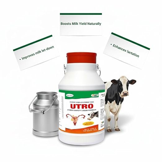 Utro Uterine Tonic 2 LTR | Ayurvedic Formula for Cattle, Buffaloes, Goats and Sheep, Veterinary Supplement - Image 6