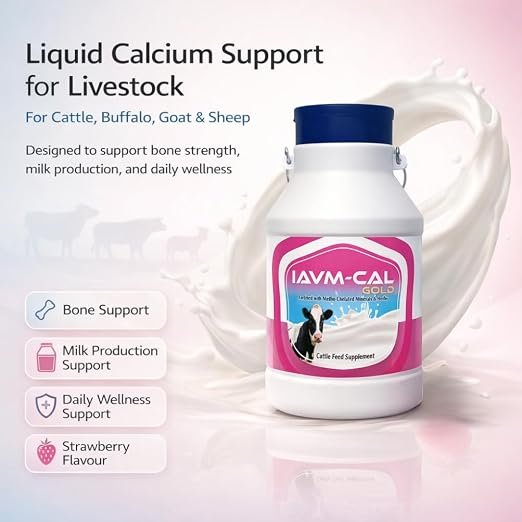 IAVM Cal Gold Liquid Calcium for Cattle, Buffalo, Goat & Sheep | Pink Strawberry Flavour | Bone Strength, Milk Yield & Immunity Booster – DOLLU - Image 2