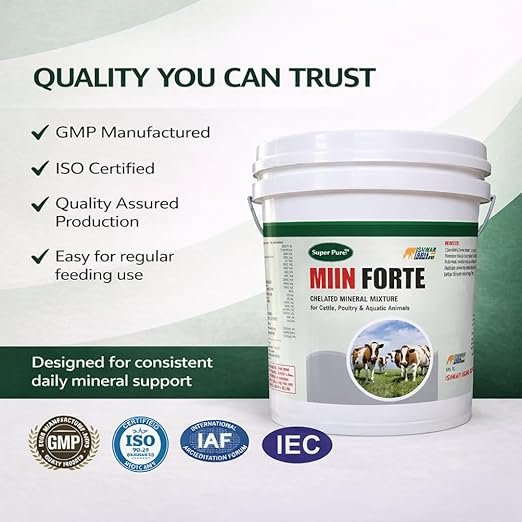 MIIN Forte | Mineral Mixture Powder for Cattle, Buffaloes, Goats & Sheep | Complete Livestock Feed Supplement for Growth, Higher Milk Yield, Strong Bones & Immunity Support - Image 5
