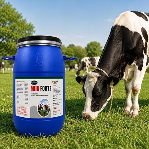 MIIN Forte Mineral Mixture Powder Drum Pack for Cows, Buffaloes, Goats & Sheep | Balanced Livestock Feed Supplement | Supports Growth & Milk Production - Image 5