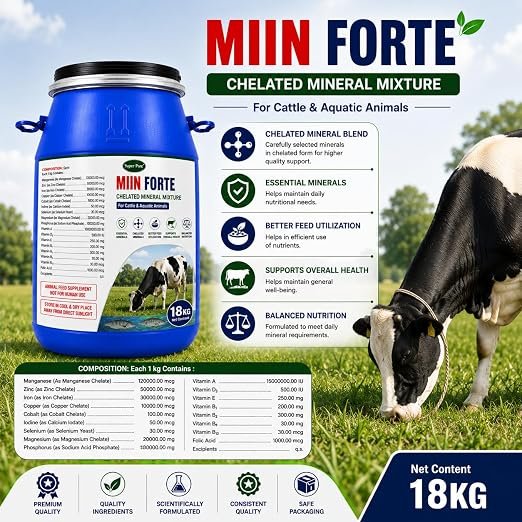 MIIN Forte Mineral Mixture Powder Drum Pack for Cows, Buffaloes, Goats & Sheep | Balanced Livestock Feed Supplement | Supports Growth & Milk Production - Image 2