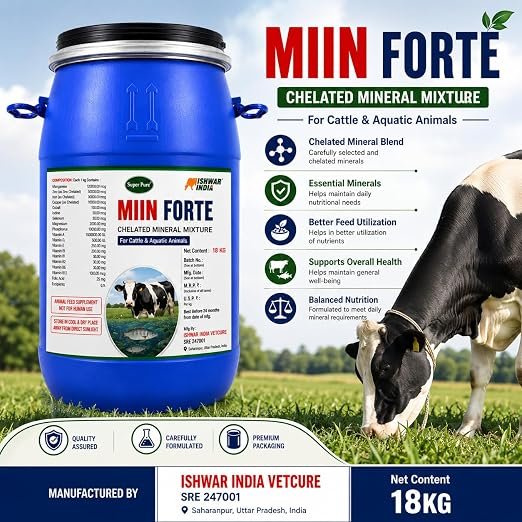 MIIN Forte Mineral Mixture Powder Drum Pack for Cows, Buffaloes, Goats & Sheep | Balanced Livestock Feed Supplement | Supports Growth & Milk Production - Image 3